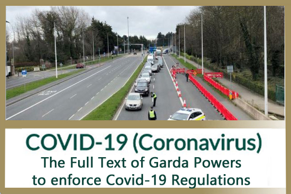 Full text: The new Garda powers to enforce Covid-19 restrictions